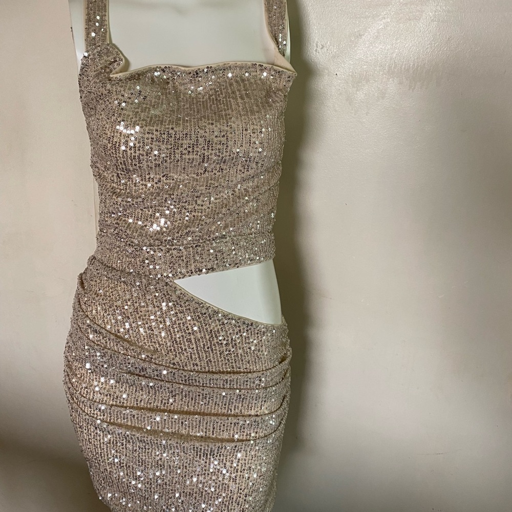 Silver sequin mini-length dress